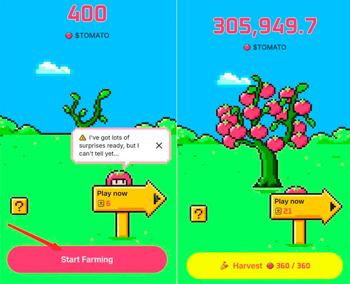 Tomarket app